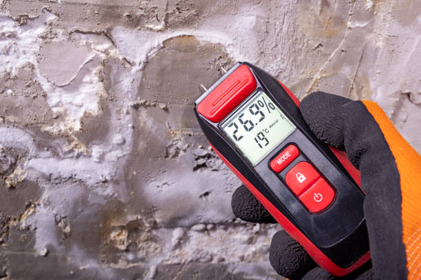 East Prairie, MO Mold Remediation Company