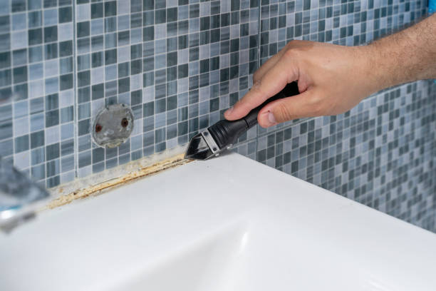 Best Health and Safety Mold Remediation in East Prairie, MO